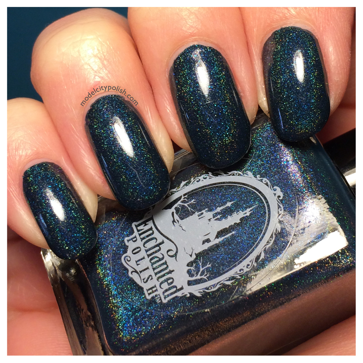 Enchanted Polish January 2017 January 2017 1